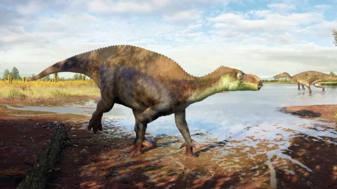 Novas espécies de dinossauros identificadas a partir de fósseis esquecidos de museus